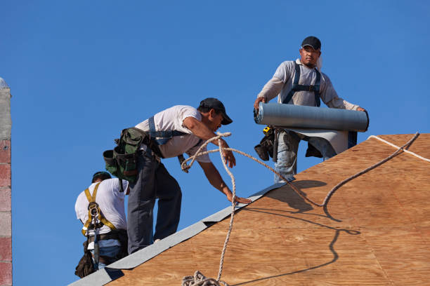 Best Metal Roofing Contractor  in Sioux City, IA