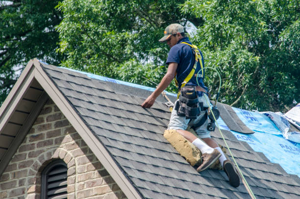 Best Residential Roofing Contractor  in Sioux City, IA